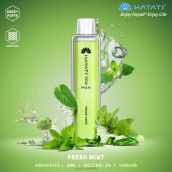 Hayati Pro Max monouso 6NH0104 Hayati vape flavours menta fresca