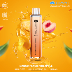 Hayati Pro Max monouso 6NH0111 Hayati italia mango pesca ananas