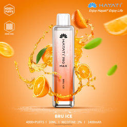 Hayati Pro Max monouso 6NH0130 Hayati flavour list bru ghiaccio