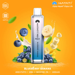 Hayati Pro Max monouso 6NH0138 Hayati vape shop banana al mirtillo